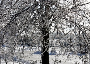 security in an icestorm