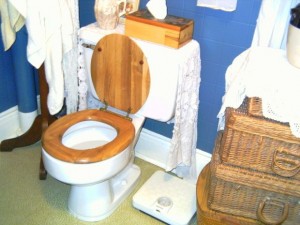 Toronto thiefs steal toilets