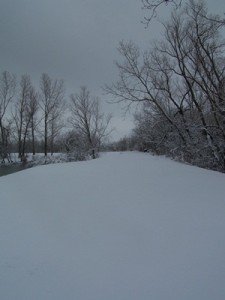 winter landscaping security